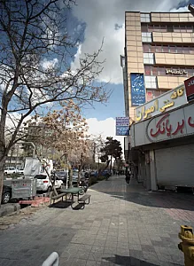 دکتر مرضیه موحد