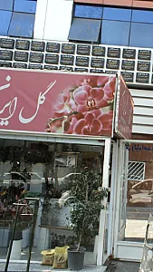 دکتر حیدر جوادی