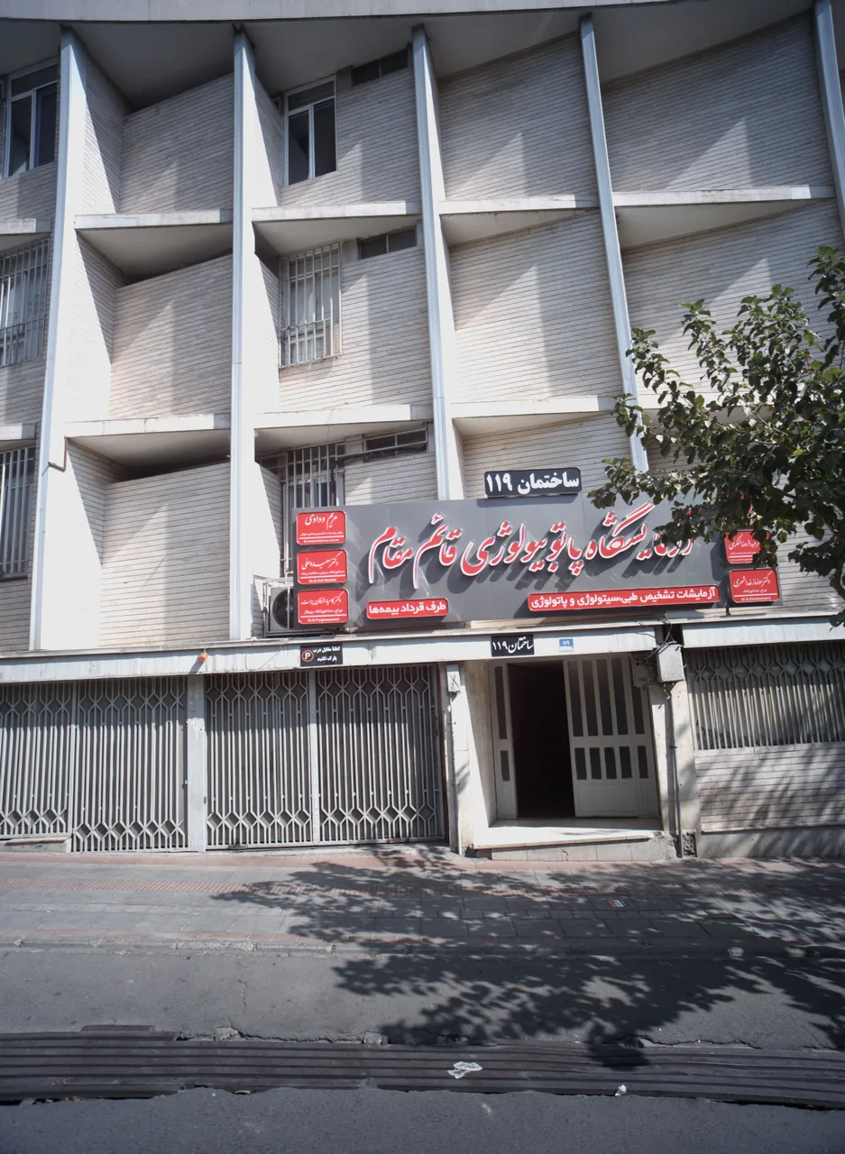 دکتر سعیده حلی