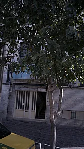 دکتر محبوبه استکی