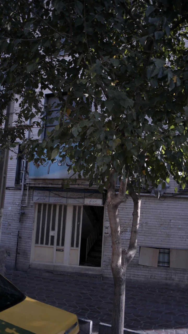 دکتر محبوبه استکی
