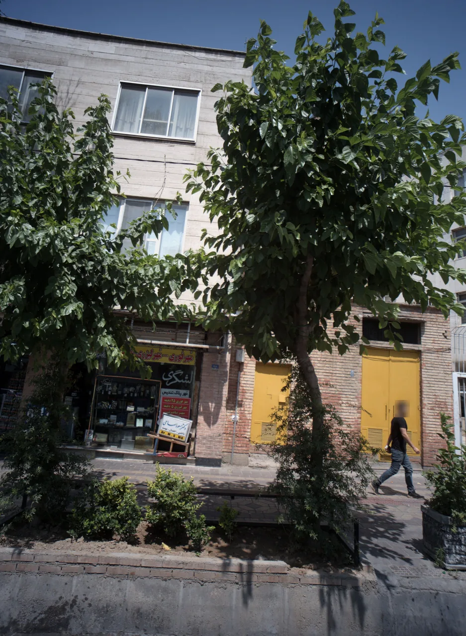 دکتر مسعود سماعی