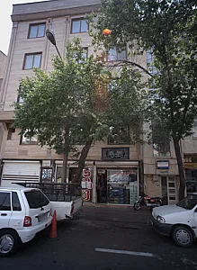 دکتر فریبا شفیعی