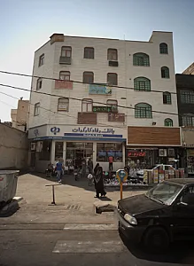 دکتر داود شایان مهر