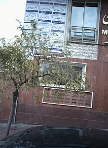 دکتر لادن دهداری