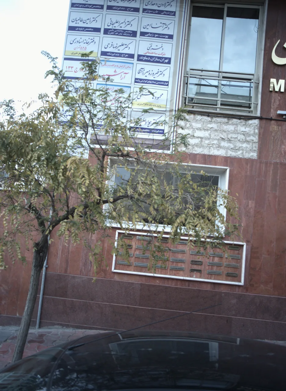 دکتر لادن دهداری