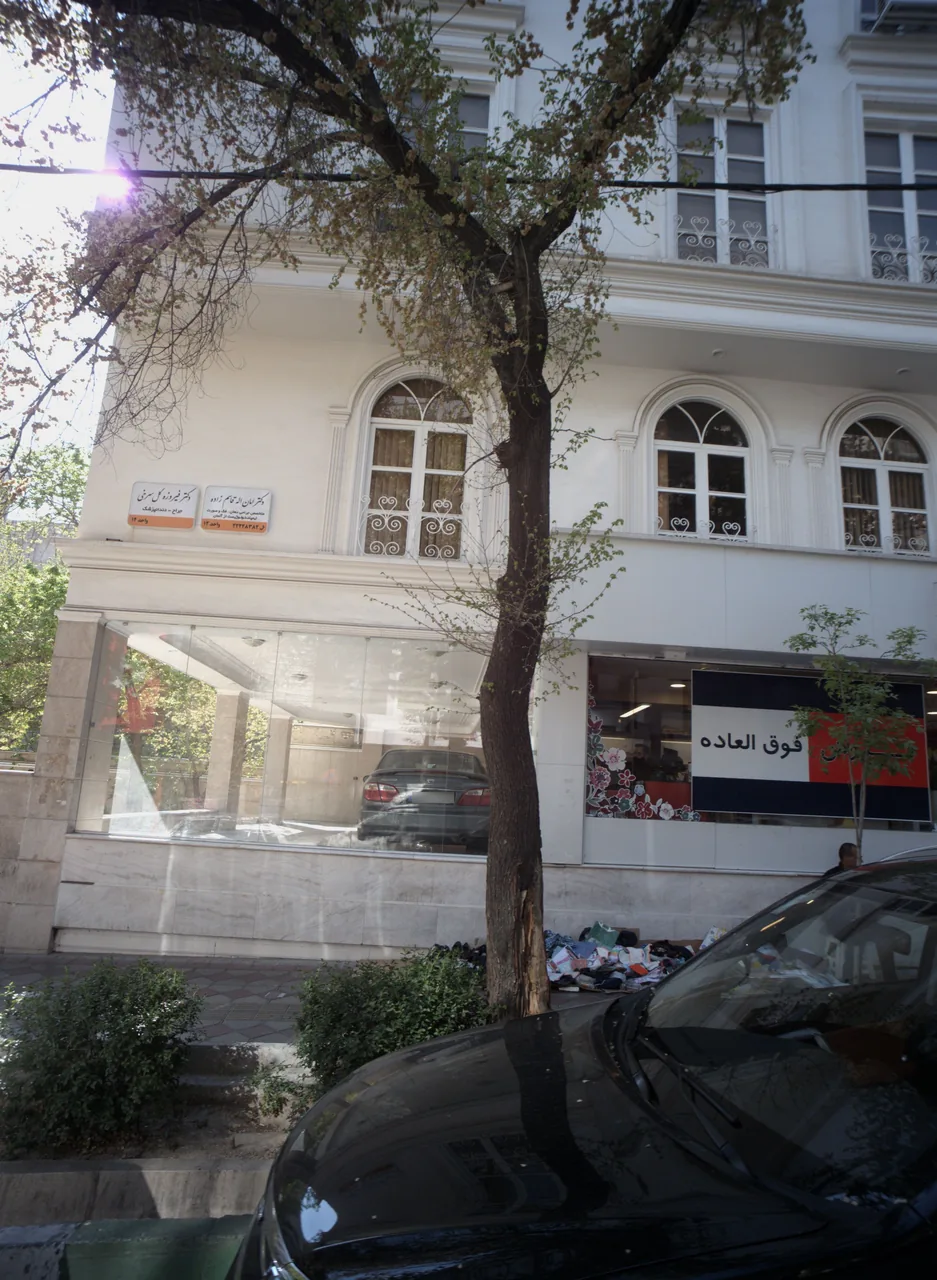 دکتر فیروزه گل سرخی