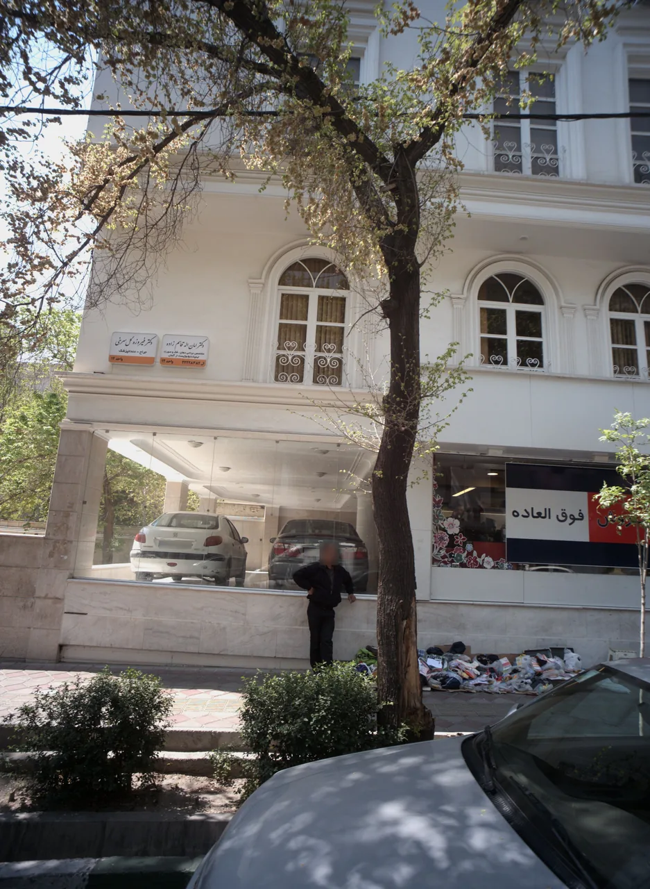 دکتر فیروزه گل سرخی - تصویر 2