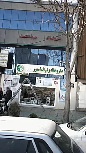 دکتر محمد سید حسینی