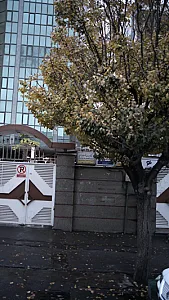 دکتر مهدی رخصت یزدی