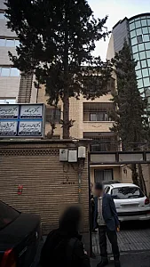 دکتر فاطمه داوری تنها