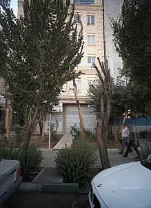 دکتر مه بیان سیف الدین