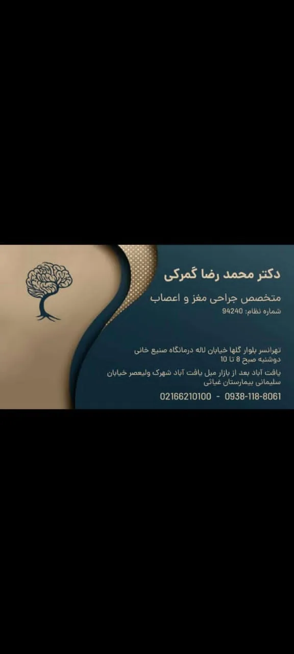 دکتر محمد رضا گمرکی - تصویر 2