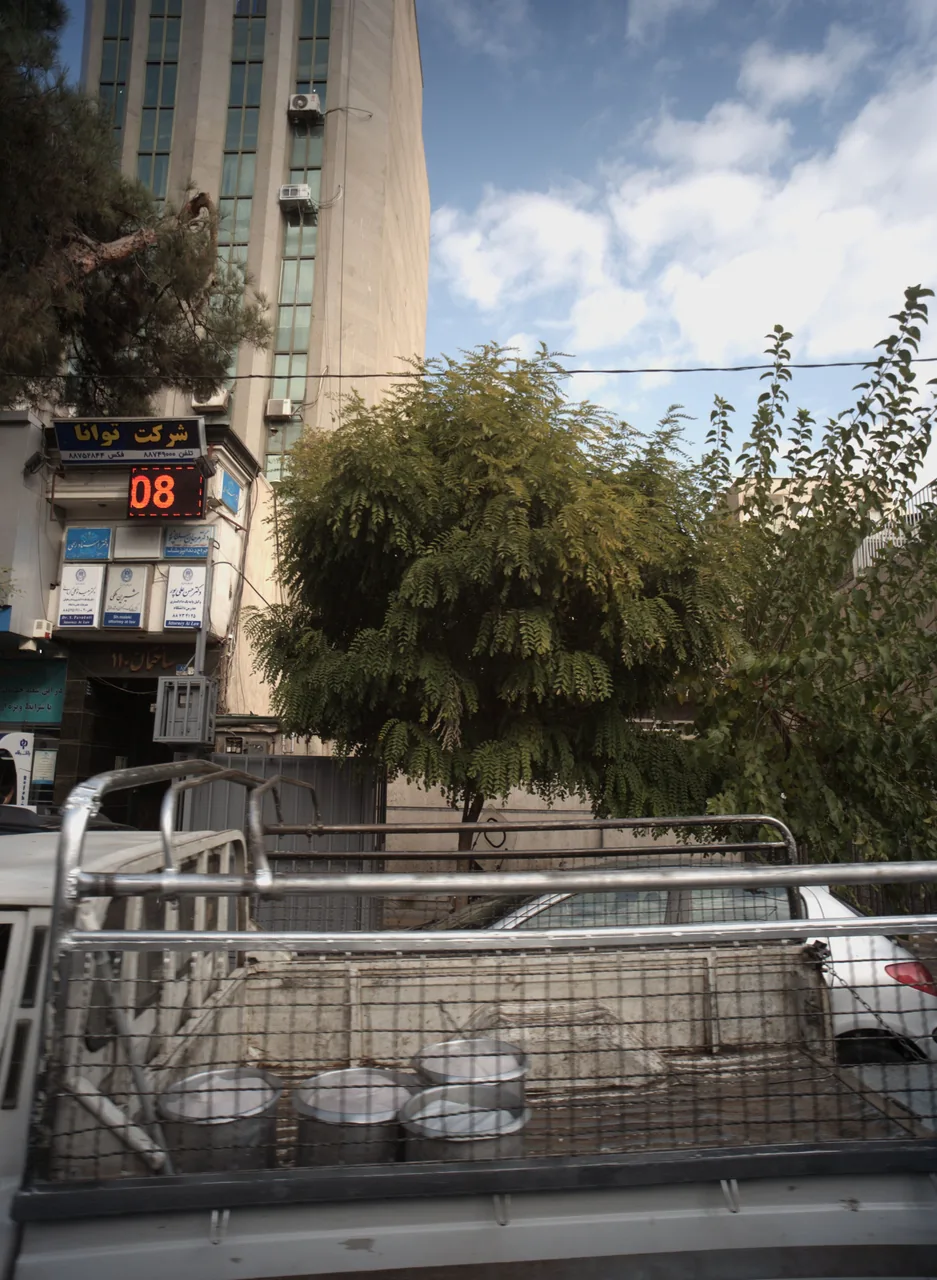دکتر سعید توکلی کرمانی
