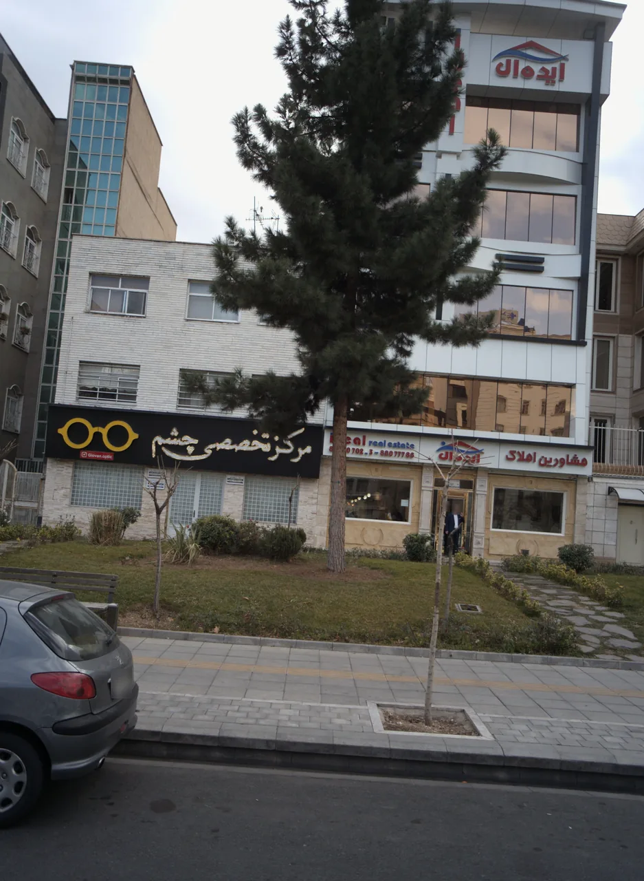 دکتر محمد رضا محمدیان