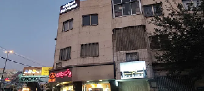 دکتر زهره میرعمادی