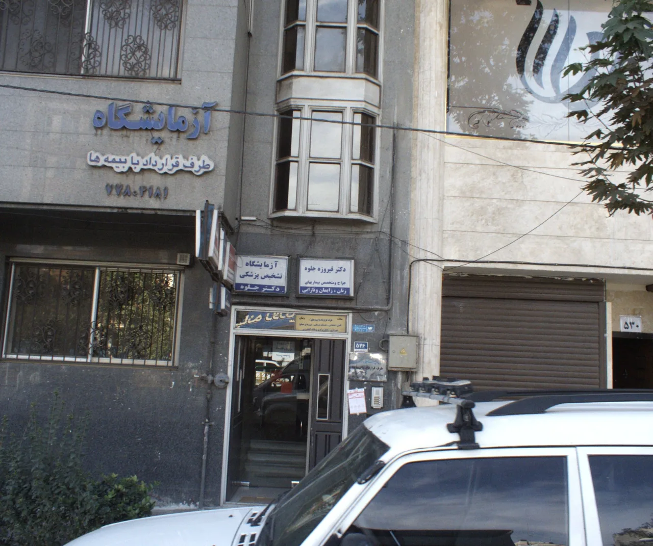 دکتر فیروزه جلوه