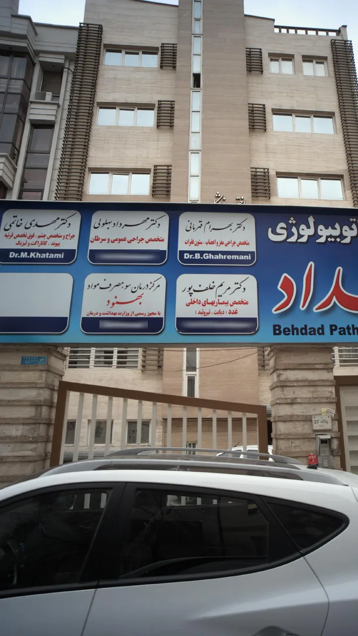 دکتر مهرداد بهلولی - تصویر 2