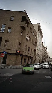 دکتر مهتاب امینی