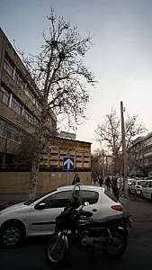 دکتر محمد حیدری