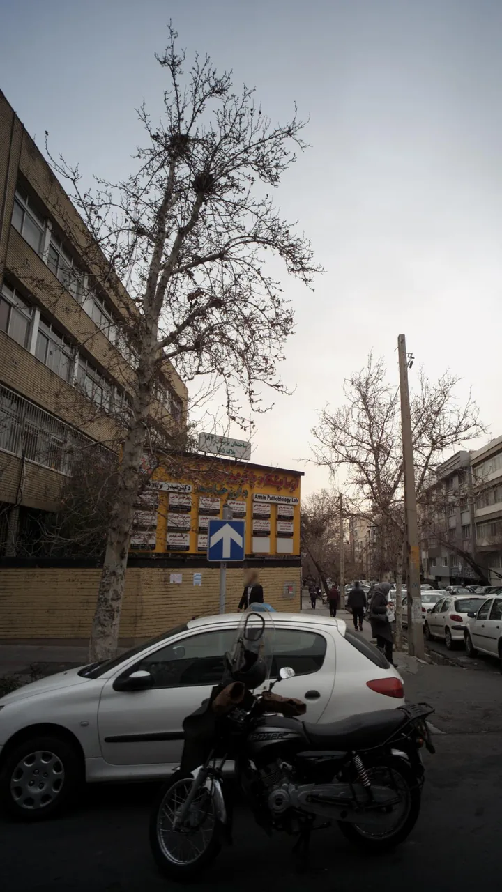 دکتر محمد حیدری - تصویر 2