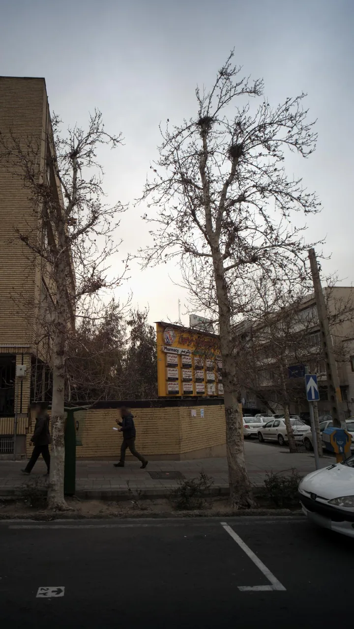دکتر محمد حیدری - تصویر 3