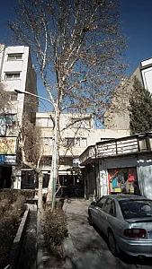 دکتر محمد علی جزایری - پزشک عمومی در تهران