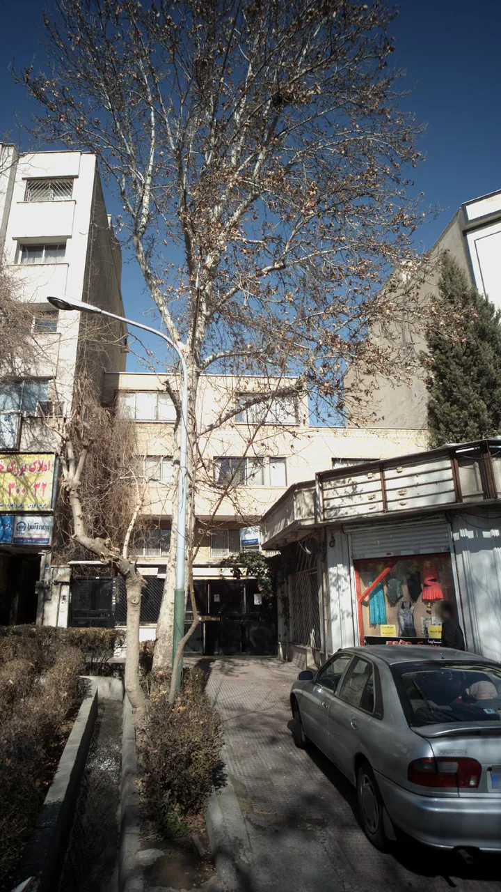 دکتر محمد علی جزایری
