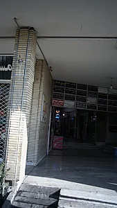 دکتر پروین ذره