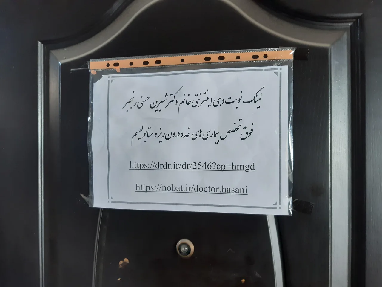 دکتر شیرین حسنی رنجبر - تصویر 2
