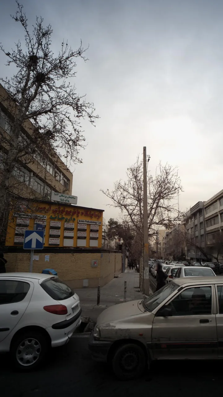 دکتر کیارش بهروز مهر - تصویر 2