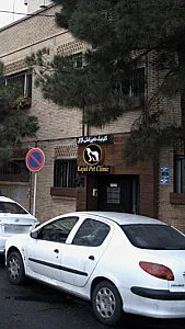 دکتر محمد میر - پزشک عمومی در تهران