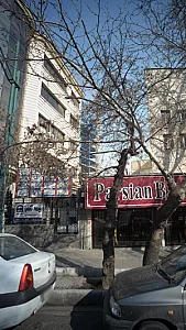 دکتر شهید فرزادی راد