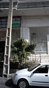 دکتر سید ابوالحسن آل محمد