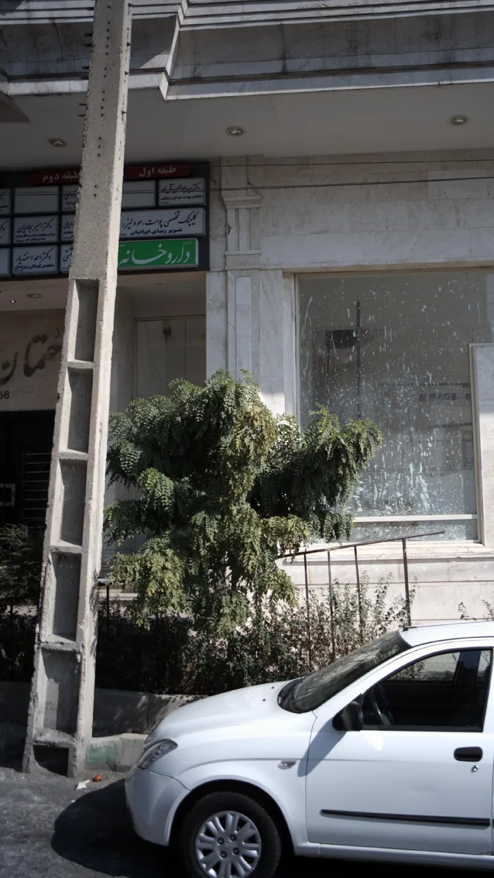 دکتر سید ابوالحسن آل محمد