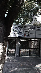 دکتر ساسان همایون