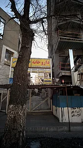دکتر فاطمه عصری