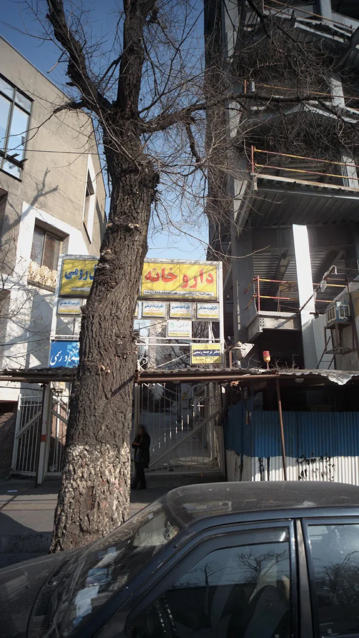 دکتر فاطمه عصری - تصویر 3
