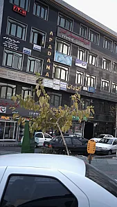 دکتر رویا پروانه تفرشی