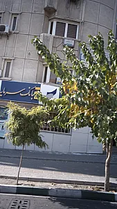 دکتر بهرام ملک