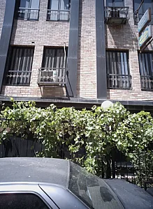 مطب سوسن کردبچه