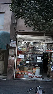 دکتر سید رضا سید سالکی