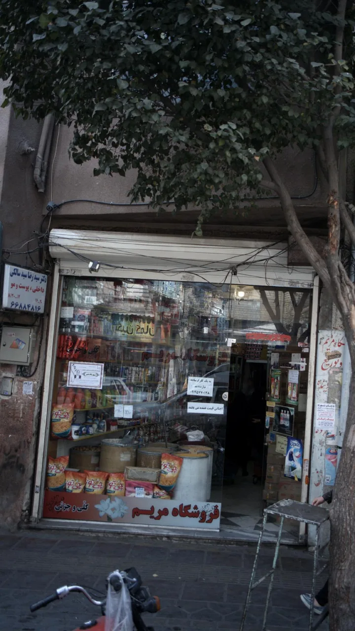 دکتر سید رضا سید سالکی - تصویر 2