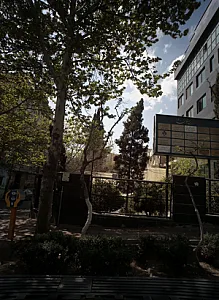 دکتر فائزه مهدوی پارسا