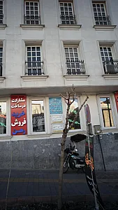 دکتر لیدا طوماریان
