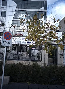 دکتر سید علاء الدین نبوی