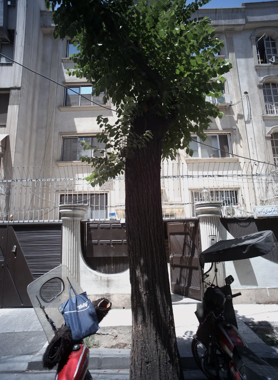 دکتر مهدی زاده
