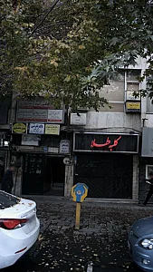 دکتر محمد جواد میر دامادی