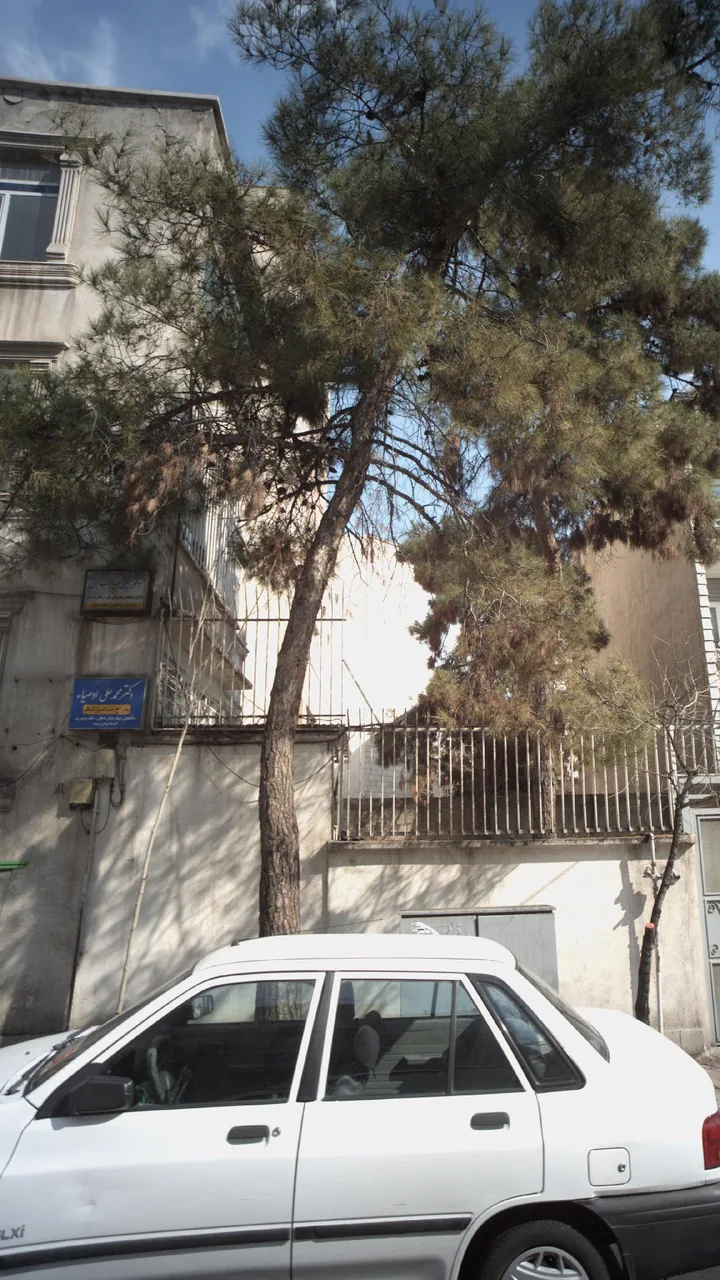 دکتر حسین صاحب نسق - تصویر 3