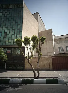 مطب دکتر منصوره متینی اصل
